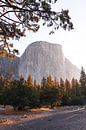 El Capitan in Yosemite Valley bij zonsopgang van swc07 thumbnail