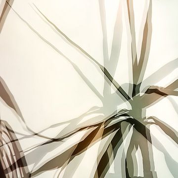 Bladeren in Scandinavisch design van Carmen Varo