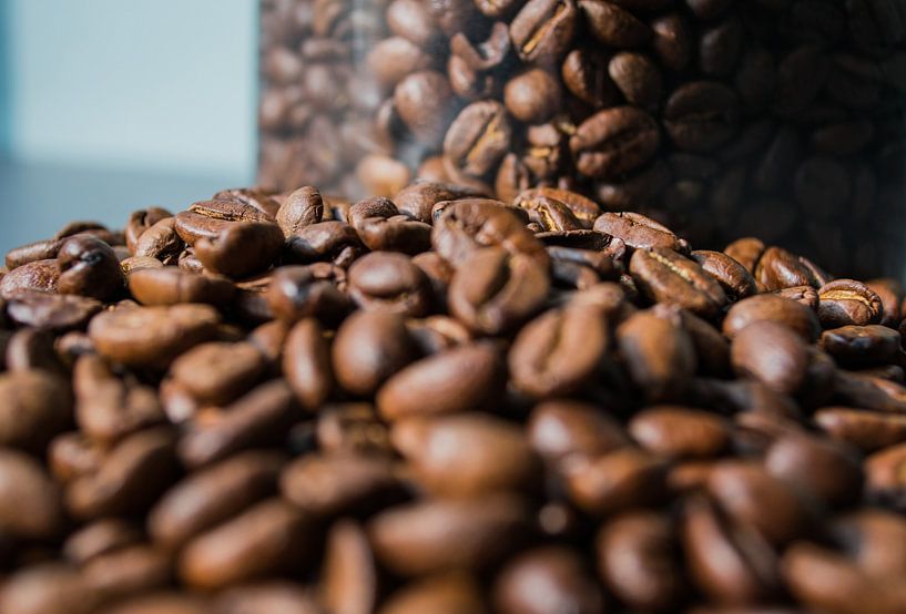 Pot of fresh coffee beans by Onno van Kuik