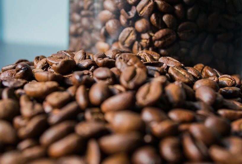 Topf frische Kaffeebohnen von Onno van Kuik