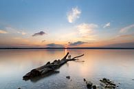 Zonsondergang aan de Ammersee van Teresa Bauer thumbnail