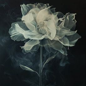 Twisted flower van Carla Van Iersel