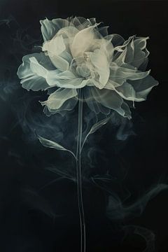Verdrehte Blume von Carla Van Iersel