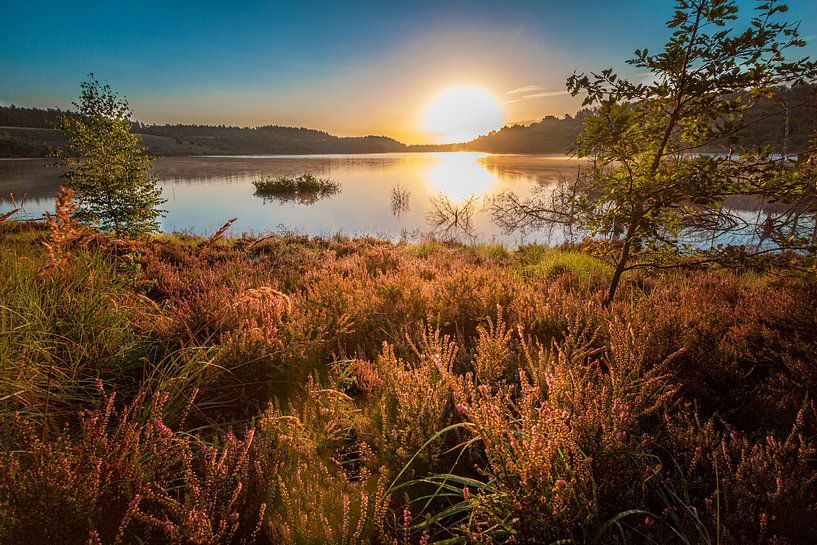 Zonsopkomst op de heide van Jack van der Spoel