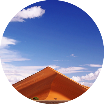 Dune in the Namib - Namibia van W. Woyke