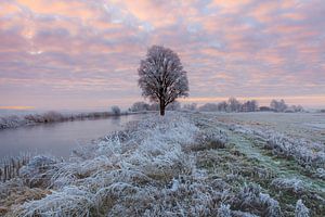 Sonnenaufgang in einer nebligen Landschaft bei IJlst in Friesland. Wout Kok One2expose Fotografie