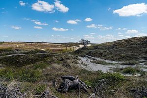 Duinlandschap Fredriksveld van Rob Donders Beeldende kunst