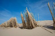 Les dunes par Sander van Ketel Aperçu