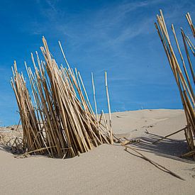 Les dunes sur Sander van Ketel