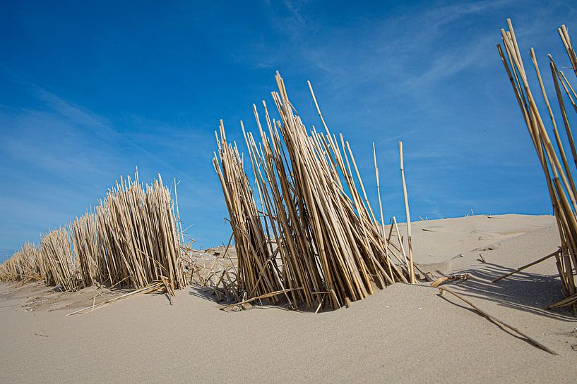 Les dunes par Sander van Ketel