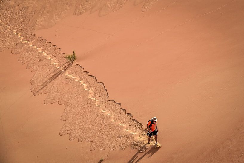 Wüstenwanderung von Linking Pictures