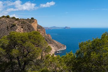 Kliffen en de Middellandse Zee achter boomtoppen van Adriana Mueller
