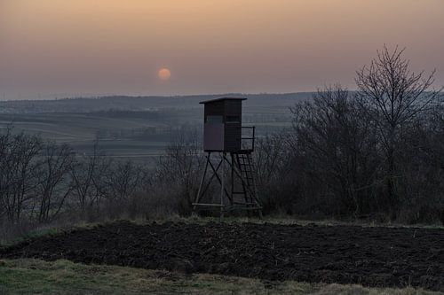 Sonnenuntergang im Weinviertel