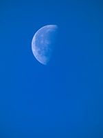 The moon