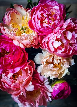 Peony by Lotte Grit