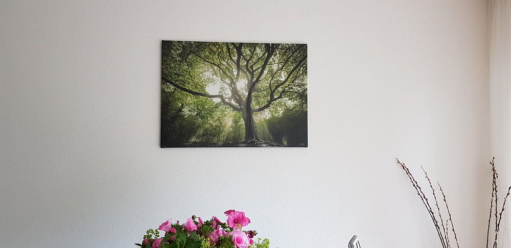 The spring witch  von Rob Visser 