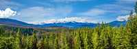 Uitzichtpunt nabij Maligne Canyon, Canada van Rietje Bulthuis thumbnail