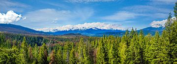 Aussichtspunkt in der Nähe von Maligne Canyon, Kanada