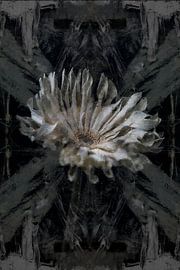 Digital still life of a flower and art