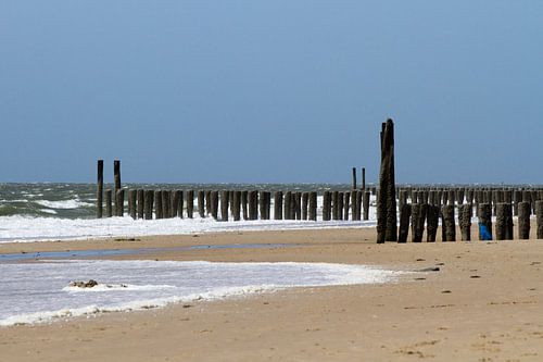 Golfbrekers aan het noordzeestrand