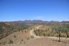 Blick über das Bunyeroo-Tal von Frank's Awesome Travels