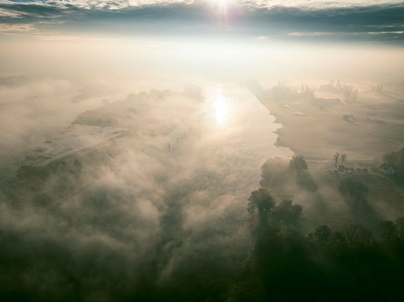 Misty forest overhead aerial view during autumn by Sjoerd van der Wal Photography