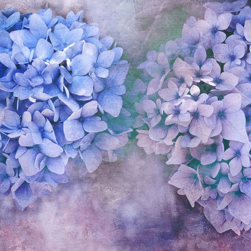 deep February by Claudia Moeckel