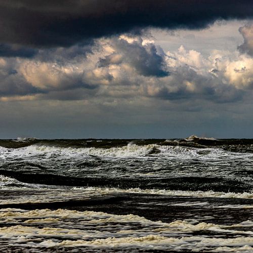 Texel, Nordsee