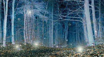 Magical forest landscape by Corinne Welp