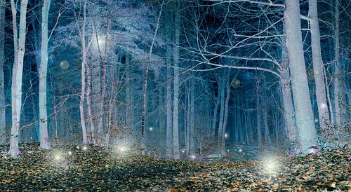 Magical forest landscape