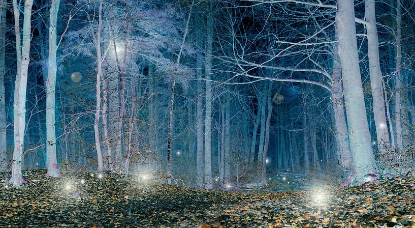 Magisch bos landschap van Corinne Welp