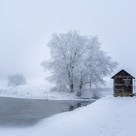 Das Striegelhaus am See von Steffen Henze