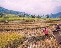 Sa Pa