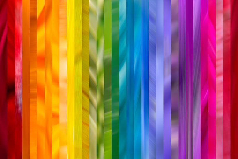 Alle kleuren van de regenboog van Irene Damminga