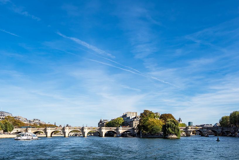 Blick auf die Brücke Pont Neuf in Paris, Frankreich von Rico Ködder