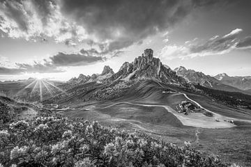 Roses des Alpes au coucher du soleil en noir et blanc sur Manfred Voss, Schwarz-weiss Fotografie