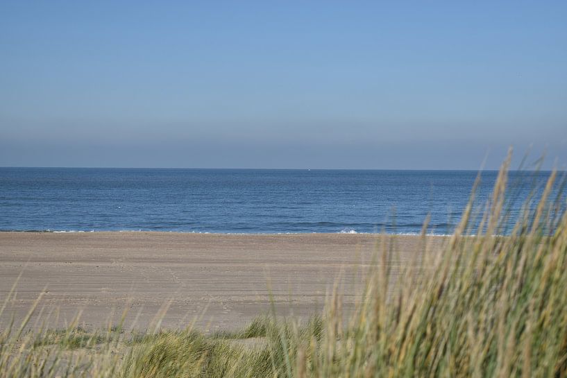 de stille kust van Marleen Mertens