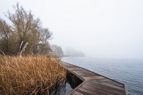 Kralingse plas in de mist