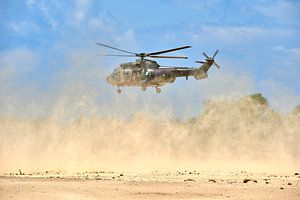 Die Landung mit dem Transporthubschrauber Cougar bläst eine Menge Staub auf.