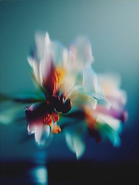 Teal Light Sonata by Olaf Kramer