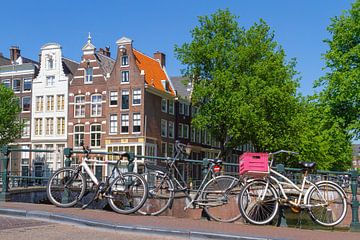 Amsterdamse huizen aan de gracht van Jan van Dasler