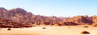 Devil's desert Puna Argentinië. van Ron van der Stappen thumbnail