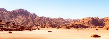 Devil's desert Puna Argentina. by Ron van der Stappen