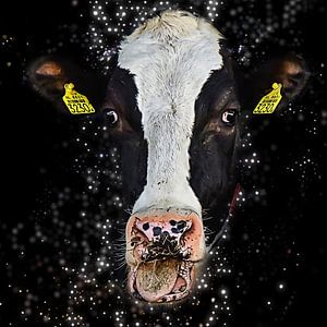 Moooooooooooo