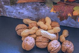 WINTERTIME :NUT MIX by Photoart-Naegele
