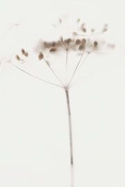 Serene 09 von Floortje Louise