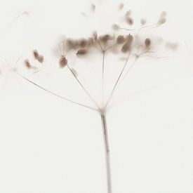 Serene 09 von Floortje Louise