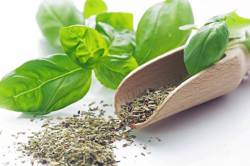 Frische Kräuter Basilikum Stillleben für die Küche von Tanja Riedel