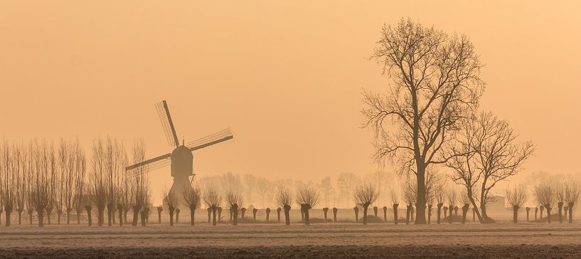 De Middelmolen, Molenaarsgraaf von Stephan Neven