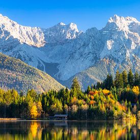 Mountain panorama with lake and autumn forest - Bavaria by Daniela Beyer